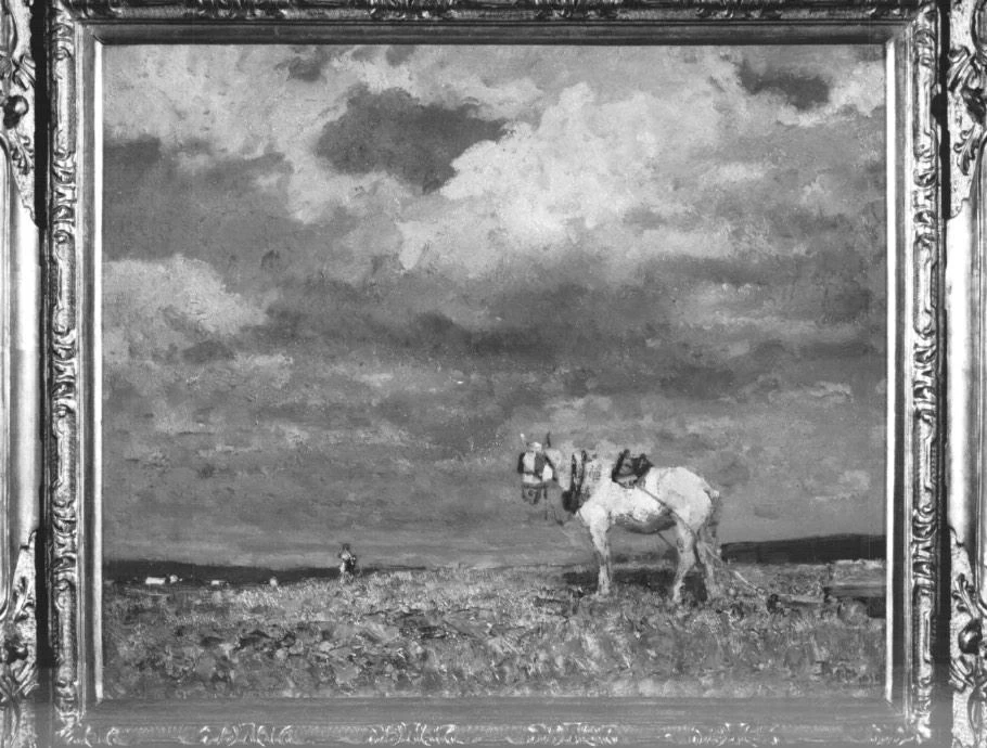 Cavallo bianco - Monte di Pietà